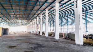 Dairy Parlour & Milking Shed Painting North Leinster