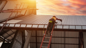 Farm Shed Roof Repairs North Leinster
