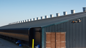 Shed & Barn Repairs North Leinster
