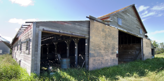 Anti-Mould & Anti-Fungal Farm Shed Treatments North Leinster,Concrete Repairs & Resurfacing North Leinster,Concrete Yard & Pathway Cleaning North Leinster,Dairy Parlour & Milking Shed Painting North Leinster,Farm Fence Painting & Repairs North Leinster,Farm Gate Restoration & Painting North Leinster,Farm Shed Door & Roller Shutter Repairs North Leinster,Farm Shed Gutter Repairs & Replacement North Leinster,Farm Shed Roof Repairs North Leinster,Power Washing of Farm Buildings & Yards North Leinster,Roof & Gutter Cleaning North Leinster,Roof Painting & Sealing North Leinster,Shed & Barn Repairs North Leinster,Slatted Shed & Slurry Tank Cleaning North Leinster,Steel Structure Painting North Leinster,Steel Wooden Structure Painting & Treatment North Leinster,Waterproofing & Damp-Proofing Farm Sheds North Leinster