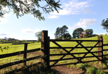 Anti-Mould & Anti-Fungal Farm Shed Treatments North Leinster,Concrete Repairs & Resurfacing North Leinster,Concrete Yard & Pathway Cleaning North Leinster,Dairy Parlour & Milking Shed Painting North Leinster,Farm Fence Painting & Repairs North Leinster,Farm Gate Restoration & Painting North Leinster,Farm Shed Door & Roller Shutter Repairs North Leinster,Farm Shed Gutter Repairs & Replacement North Leinster,Farm Shed Roof Repairs North Leinster,Power Washing of Farm Buildings & Yards North Leinster,Roof & Gutter Cleaning North Leinster,Roof Painting & Sealing North Leinster,Shed & Barn Repairs North Leinster,Slatted Shed & Slurry Tank Cleaning North Leinster,Steel Structure Painting North Leinster,Steel Wooden Structure Painting & Treatment North Leinster,Waterproofing & Damp-Proofing Farm Sheds North Leinster