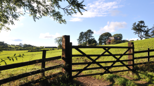 Farm Gate Restoration & Painting North Leinster