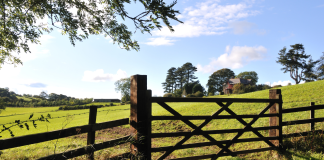 Anti-Mould & Anti-Fungal Farm Shed Treatments North Leinster,Concrete Repairs & Resurfacing North Leinster,Concrete Yard & Pathway Cleaning North Leinster,Dairy Parlour & Milking Shed Painting North Leinster,Farm Fence Painting & Repairs North Leinster,Farm Gate Restoration & Painting North Leinster,Farm Shed Door & Roller Shutter Repairs North Leinster,Farm Shed Gutter Repairs & Replacement North Leinster,Farm Shed Roof Repairs North Leinster,Power Washing of Farm Buildings & Yards North Leinster,Roof & Gutter Cleaning North Leinster,Roof Painting & Sealing North Leinster,Shed & Barn Repairs North Leinster,Slatted Shed & Slurry Tank Cleaning North Leinster,Steel Structure Painting North Leinster,Steel Wooden Structure Painting & Treatment North Leinster,Waterproofing & Damp-Proofing Farm Sheds North Leinster