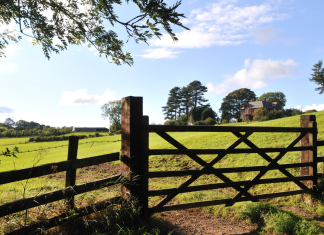 Anti-Mould & Anti-Fungal Farm Shed Treatments North Leinster,Concrete Repairs & Resurfacing North Leinster,Concrete Yard & Pathway Cleaning North Leinster,Dairy Parlour & Milking Shed Painting North Leinster,Farm Fence Painting & Repairs North Leinster,Farm Gate Restoration & Painting North Leinster,Farm Shed Door & Roller Shutter Repairs North Leinster,Farm Shed Gutter Repairs & Replacement North Leinster,Farm Shed Roof Repairs North Leinster,Power Washing of Farm Buildings & Yards North Leinster,Roof & Gutter Cleaning North Leinster,Roof Painting & Sealing North Leinster,Shed & Barn Repairs North Leinster,Slatted Shed & Slurry Tank Cleaning North Leinster,Steel Structure Painting North Leinster,Steel Wooden Structure Painting & Treatment North Leinster,Waterproofing & Damp-Proofing Farm Sheds North Leinster