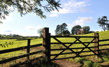 Anti-Mould & Anti-Fungal Farm Shed Treatments North Leinster,Concrete Repairs & Resurfacing North Leinster,Concrete Yard & Pathway Cleaning North Leinster,Dairy Parlour & Milking Shed Painting North Leinster,Farm Fence Painting & Repairs North Leinster,Farm Gate Restoration & Painting North Leinster,Farm Shed Door & Roller Shutter Repairs North Leinster,Farm Shed Gutter Repairs & Replacement North Leinster,Farm Shed Roof Repairs North Leinster,Power Washing of Farm Buildings & Yards North Leinster,Roof & Gutter Cleaning North Leinster,Roof Painting & Sealing North Leinster,Shed & Barn Repairs North Leinster,Slatted Shed & Slurry Tank Cleaning North Leinster,Steel Structure Painting North Leinster,Steel Wooden Structure Painting & Treatment North Leinster,Waterproofing & Damp-Proofing Farm Sheds North Leinster