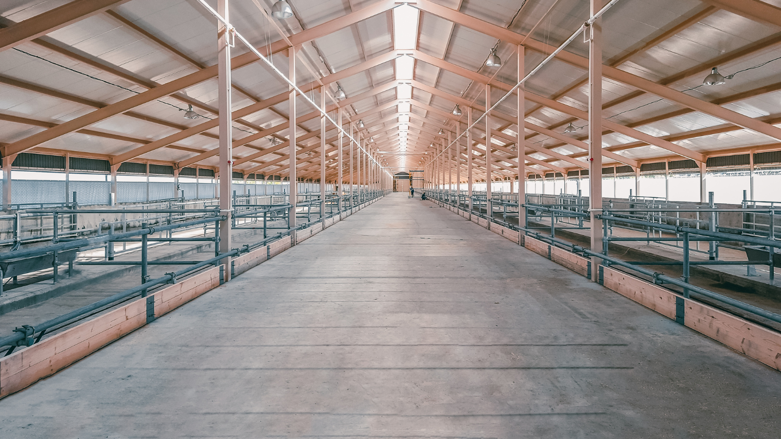 Anti-Mould & Anti-Fungal Farm Shed Treatments North Leinster