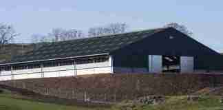 Anti-Mould & Anti-Fungal Farm Shed Treatments North Leinster,Concrete Repairs & Resurfacing North Leinster,Concrete Yard & Pathway Cleaning North Leinster,Dairy Parlour & Milking Shed Painting North Leinster,Farm Fence Painting & Repairs North Leinster,Farm Gate Restoration & Painting North Leinster,Farm Shed Door & Roller Shutter Repairs North Leinster,Farm Shed Gutter Repairs & Replacement North Leinster,Farm Shed Roof Repairs North Leinster,Power Washing of Farm Buildings & Yards North Leinster,Roof & Gutter Cleaning North Leinster,Roof Painting & Sealing North Leinster,Shed & Barn Repairs North Leinster,Slatted Shed & Slurry Tank Cleaning North Leinster,Steel Structure Painting North Leinster,Steel Wooden Structure Painting & Treatment North Leinster,Waterproofing & Damp-Proofing Farm Sheds North Leinster