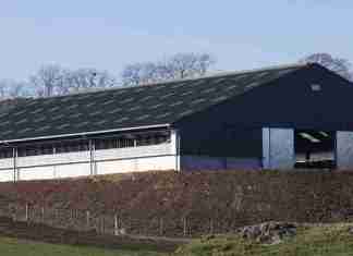 Anti-Mould & Anti-Fungal Farm Shed Treatments North Leinster,Concrete Repairs & Resurfacing North Leinster,Concrete Yard & Pathway Cleaning North Leinster,Dairy Parlour & Milking Shed Painting North Leinster,Farm Fence Painting & Repairs North Leinster,Farm Gate Restoration & Painting North Leinster,Farm Shed Door & Roller Shutter Repairs North Leinster,Farm Shed Gutter Repairs & Replacement North Leinster,Farm Shed Roof Repairs North Leinster,Power Washing of Farm Buildings & Yards North Leinster,Roof & Gutter Cleaning North Leinster,Roof Painting & Sealing North Leinster,Shed & Barn Repairs North Leinster,Slatted Shed & Slurry Tank Cleaning North Leinster,Steel Structure Painting North Leinster,Steel Wooden Structure Painting & Treatment North Leinster,Waterproofing & Damp-Proofing Farm Sheds North Leinster